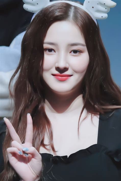 nancy momoland zodiac sign|Nancy Jewel McDonie.